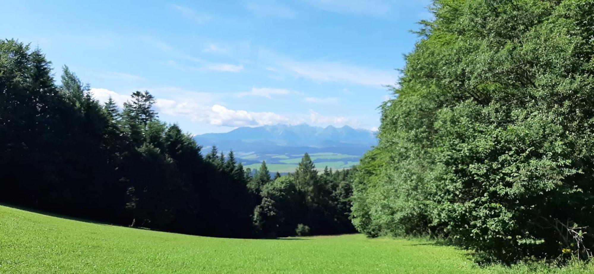 Szczytowisko Villa Grywald Екстериор снимка