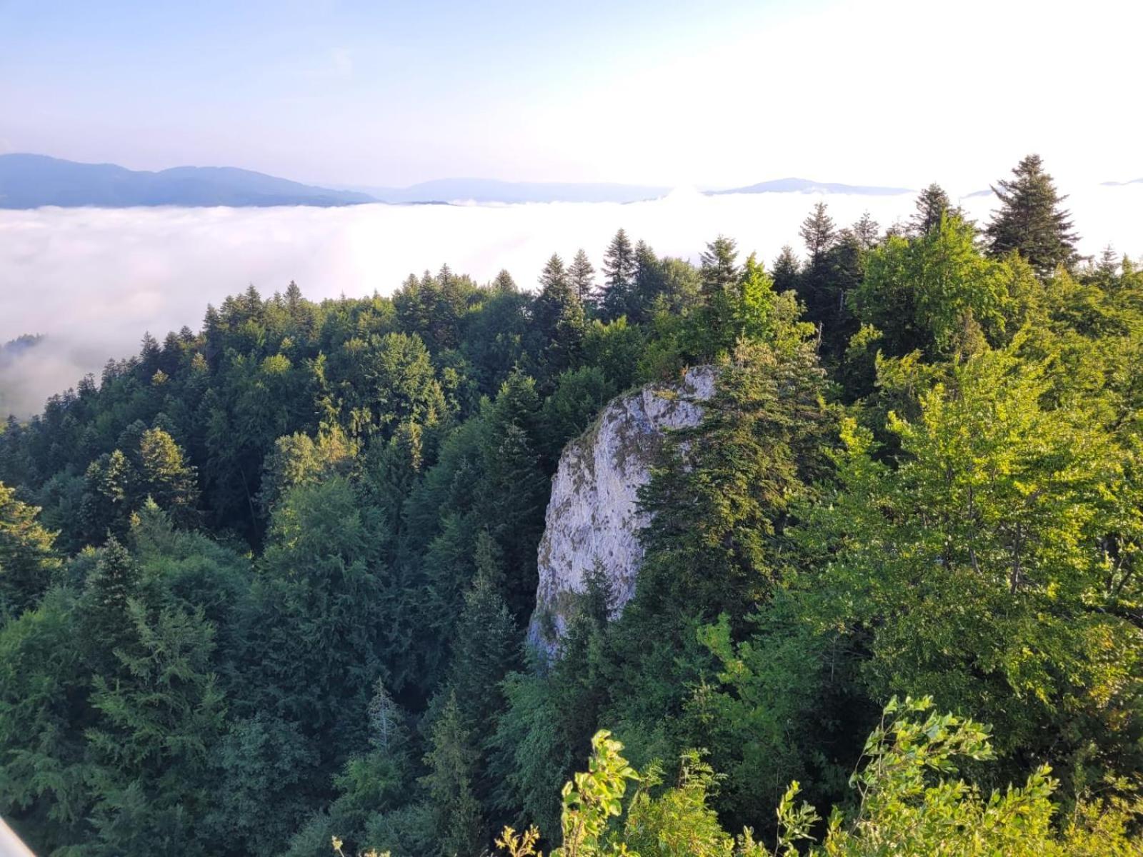 Szczytowisko Villa Grywald Екстериор снимка